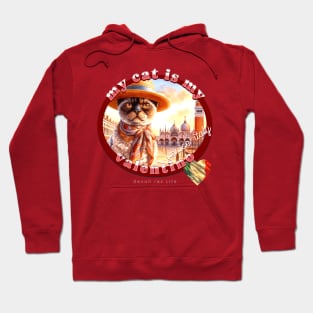 My Cat Is My Valentino Devon Rex Life 3CD Hoodie